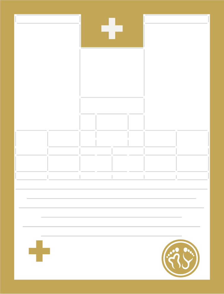 Codex Core document