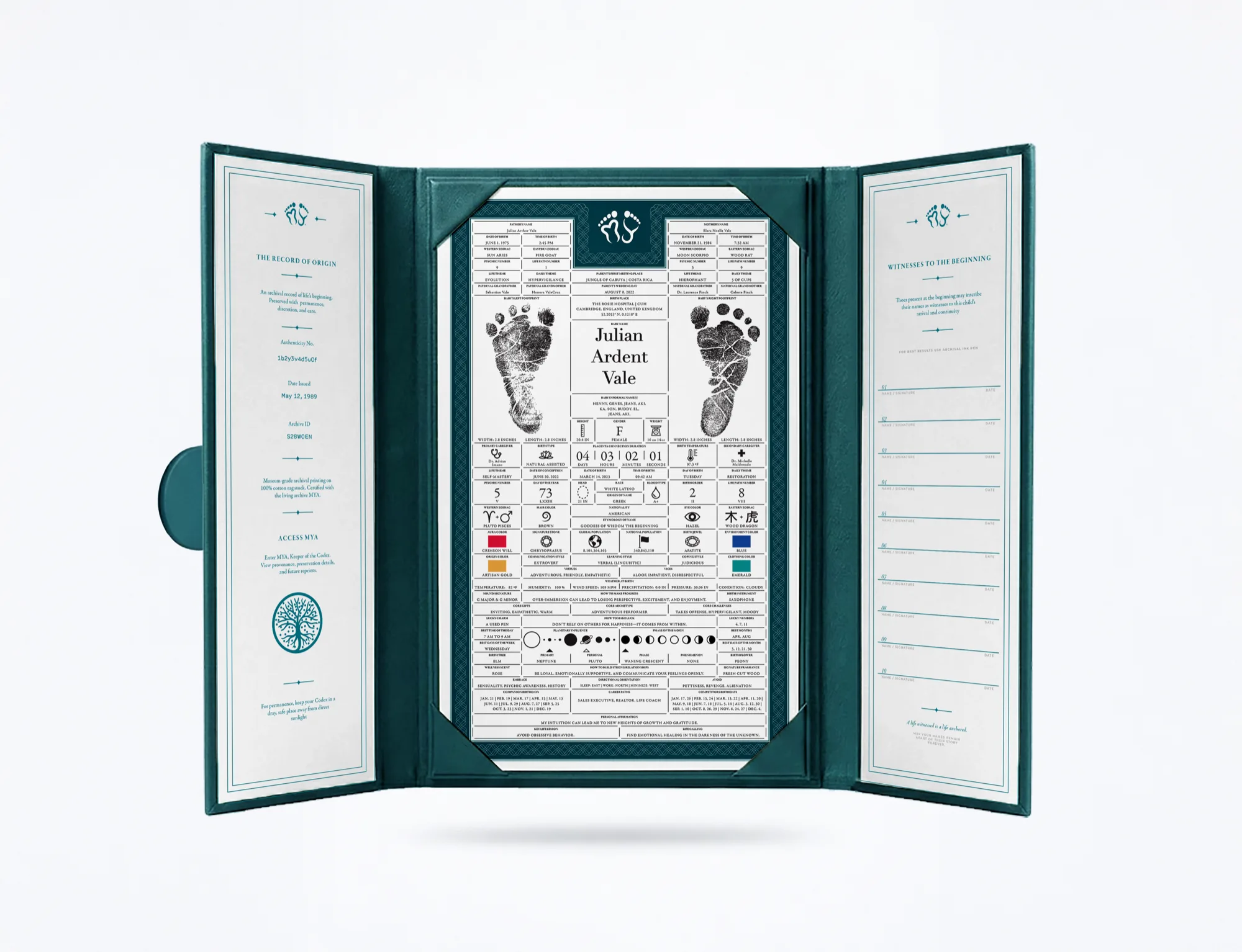 Open Birth Codex presentation vessel